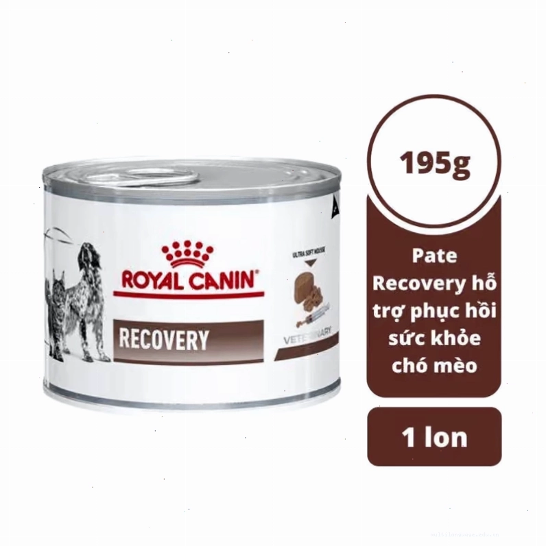 Pate Royal Canin Recovery phục hồi sức khỏe cho chó