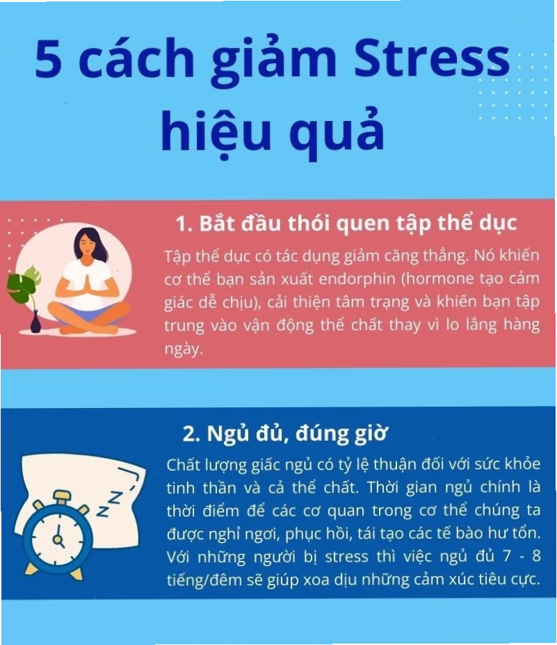 Giải pháp giảm căng thẳng stress trong cuộc sống hiện đại qua hoạt động ngoài trời