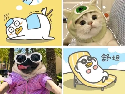 Cười xỉu với loạt ảnh vô tri hài chất như nước cất