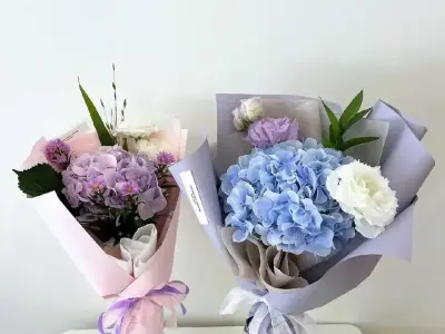Khám phá vẻ đẹp tinh tế và ý nghĩa của hoa tú cầu mini