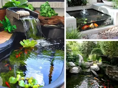 Ý tưởng sáng tạo trang trí hồ cá đẹp mắt cho không gian sống