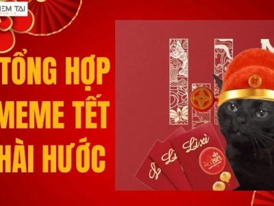 Avatar Tết Meme 2026: Bộ Sưu Tập Ảnh Hài Hước Độc Đáo