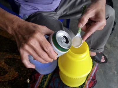 Bí Mật Tưới Cây Bằng Bia: Lợi Ích Bất Ngờ Hay Rủi Ro Tiềm Ẩn?