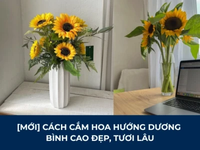 Bí quyết cắm hoa hướng dương đẹp hút hồn cho không gian thêm rạng rỡ