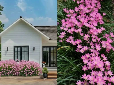 Bồn hoa đẹp trước nhà: Tạo điểm nhấn xanh và hút tài lộc