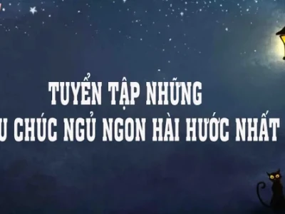 BST Meme Chúc Ngủ Ngon Siêu Cute và Hài Hước Nhất 2026