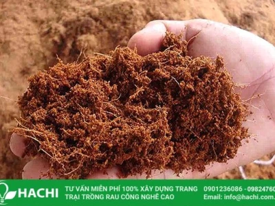 Các Loại Giá Thể Trồng Cây Phổ Biến Nhất Hiện Nay