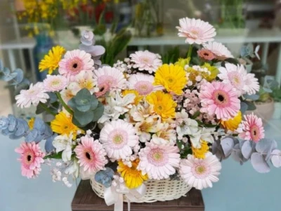 Cách Cắm Hoa Đồng Tiền Đẹp Mắt và Giữ Tươi Lâu Đến 10 Ngày
