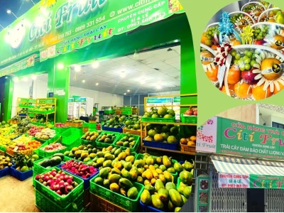 Cây Mận Miền Nam: Đặc Điểm, Cách Trồng và Lợi Ích Bất Ngờ