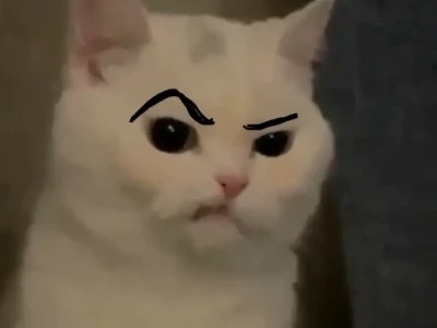 Giải mã meme ánh mắt phán xét: Khi ánh nhìn trở thành vũ khí hài hước