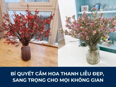 Hướng dẫn cách cắm hoa thanh liễu đẹp và ý nghĩa năm 2026
