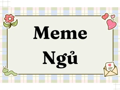 Khám phá 33 Meme Não hài chế giễu những người thiếu suy nghĩ