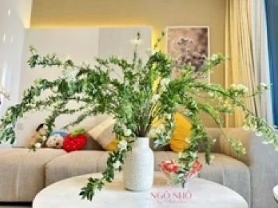 Khám phá hoa tiểu tú cầu: Nguồn gốc, đặc điểm và cách cắm tinh tế