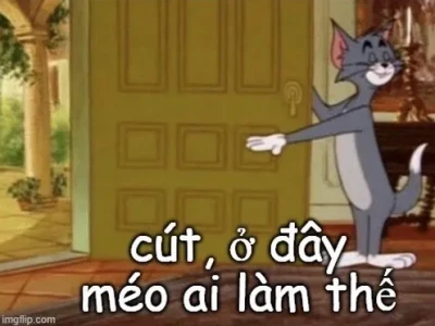 Khám phá kho meme "không có chi" độc đáo và hài hước