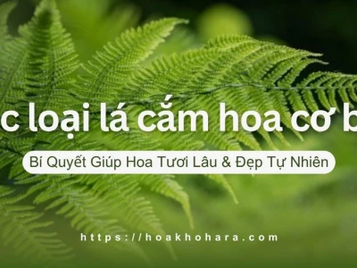 Khám phá Thế giới Lá cắm hoa: Đa dạng, Sáng tạo và Ý nghĩa