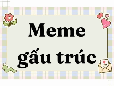 Khám Phá Thế Giới Meme Gấu Trúc Bựa Hài Hước Nhất 2026