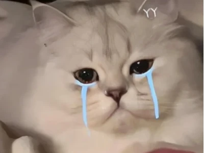 Meme Khóc Cười: Biểu Cảm Đa Chiều Của Dân Mạng Hiện Đại