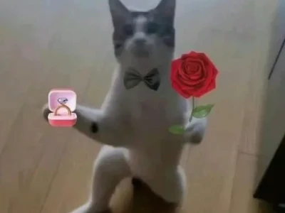 Tổng hợp 101+ ảnh meme tặng hoa hài hước và đáng yêu
