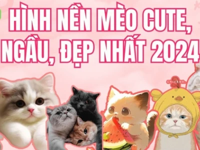 Tuyển tập ảnh avatar mèo cute hoạt hình Chibi cho Facebook 2026