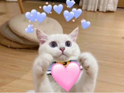 Tuyển tập meme tình yêu hài hước, đáng yêu nhất 2026