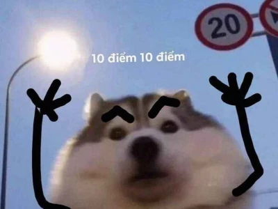 Vì Bạn Xứng Đáng Meme Tuyển Tập Truyền Cảm Hứng 2026