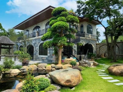 Ý Nghĩa Cây Tùng Trong Phong Thủy Và Cách Trồng Chi Tiết