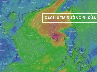 Cách theo dõi tuyến đường di chuyển bão và dự báo thiên tai chính xác năm 2026