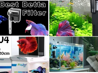 Professional guide to choosing the right aquarium filter for betta fish in 2026